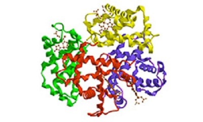 Enzyme-2